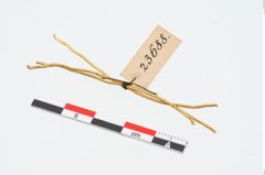 Foto von Golddraht (NHMW-PRAE-023688)